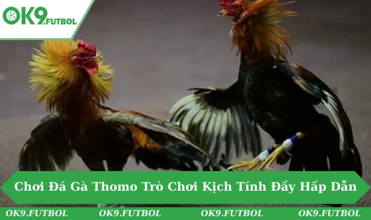 Bí Quyết Chơi Đá Gà Thomo - Trò Chơi Kịch Tính Đầy Hấp Dẫn 3 Đá Gà Thomo