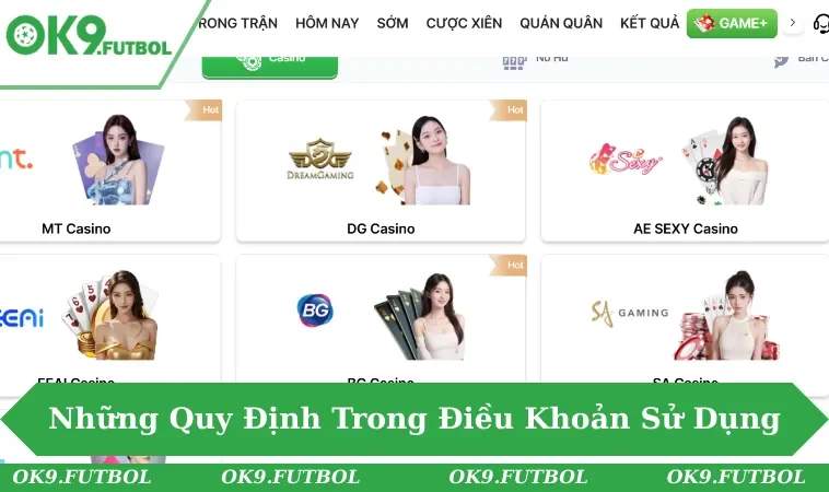 Điều Khoản Sử Dụng OK9 2 Quy định quan trọng mọi hội viên tại nhà cái uy tín đều biết