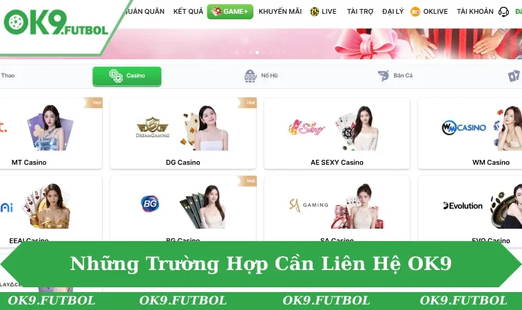Liên Hệ OK9 1 Những trường hợp hội viên cần liên hệ OK9 ngay
