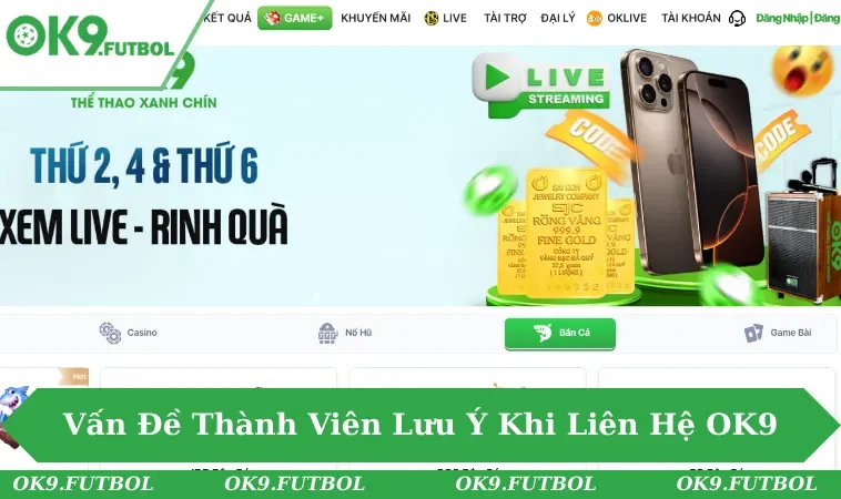 Liên Hệ OK9 3 Những vấn đề mà hội viên cần lưu ý khi kết nối đội ngũ CSKH